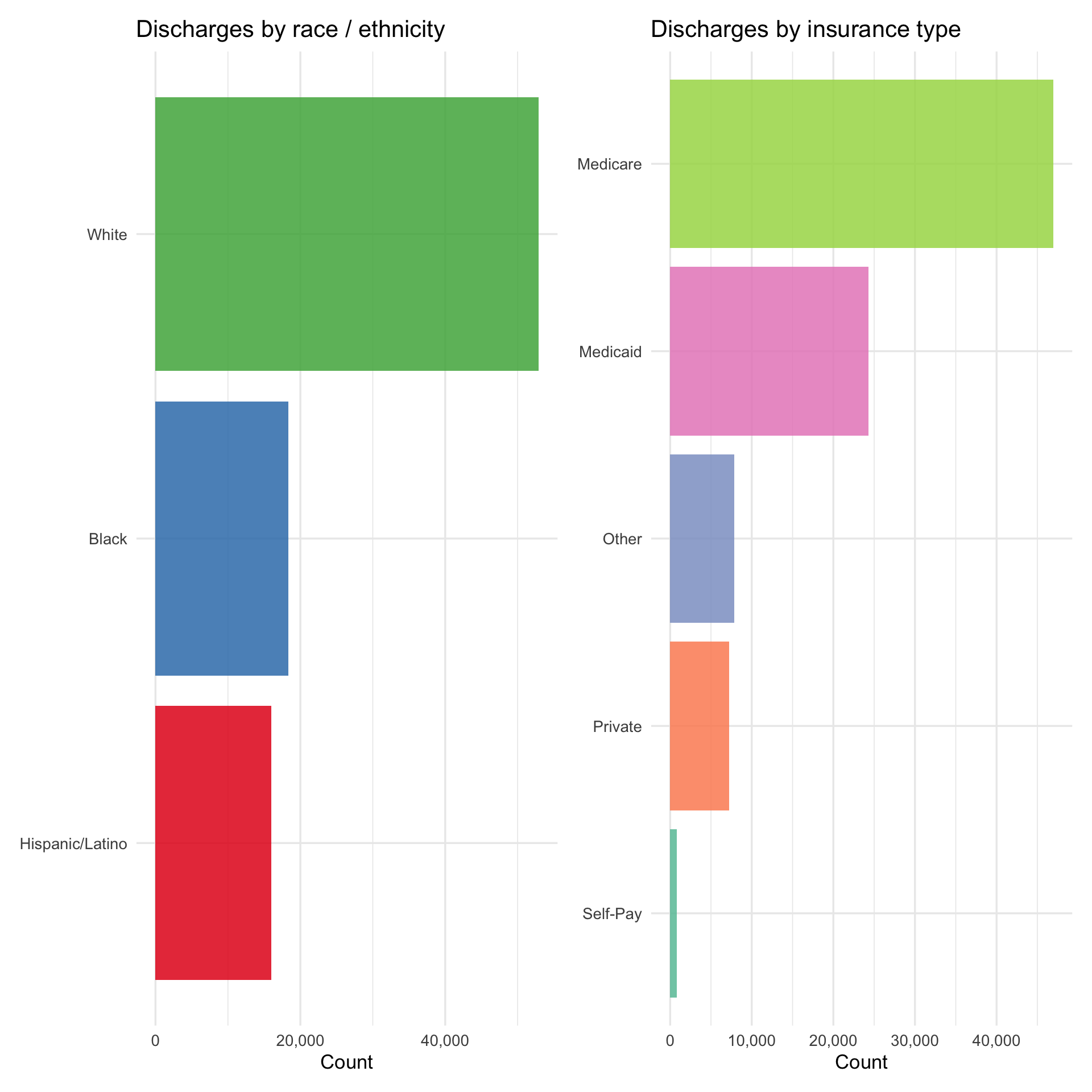 Bar charts showing race and insurance breakdown